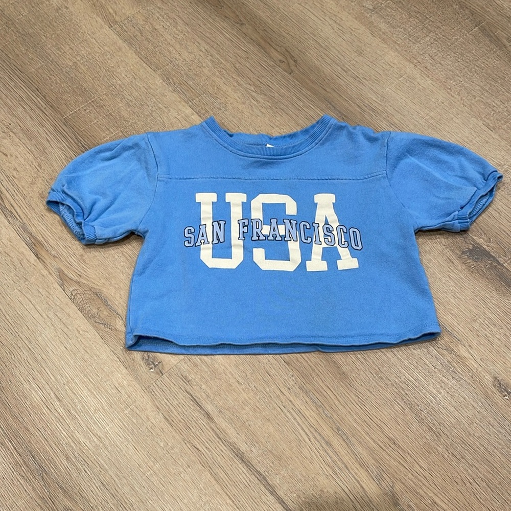 ZARA Cropped Top